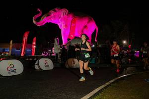 BIB: 
                            <button type="button" onclick="openModal(26534982)" class="btn btn-primary btn-sm float-right btn-popup" data-toggle="modal" data-target=".modal-high-quality">
                        <i class="fas fa-shopping-cart"></i> Add to Cart
                    </button>
                                            <button type="button" onclick="isThisMe(26534982, true)" class="btn btn-success btn-sm float-right btn-popup btn-isme hidden" data-toggle="tooltip" data-placement="bottom" title="นี่คือรูปของคุณใช่ไหม คลิกที่นี่เพื่อเอาเข้าอัลบั้ม">
                        <i class="fas fa-plus"></i> Add to album
                    </button>
                    <button type="button" onclick="isThisMe(26534982, false)" class="btn btn-warning btn-sm float-right btn-popup btn-isnotme hidden">
                        <i class="fas fa-ban"></i> Remove from album
                    </button>